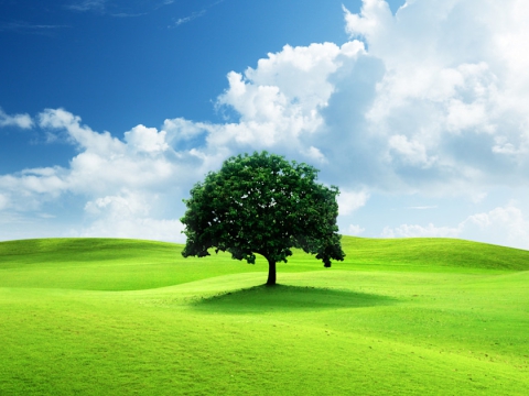 Tiêu đề bài viết tin tức số 1 (1) (1) (1)